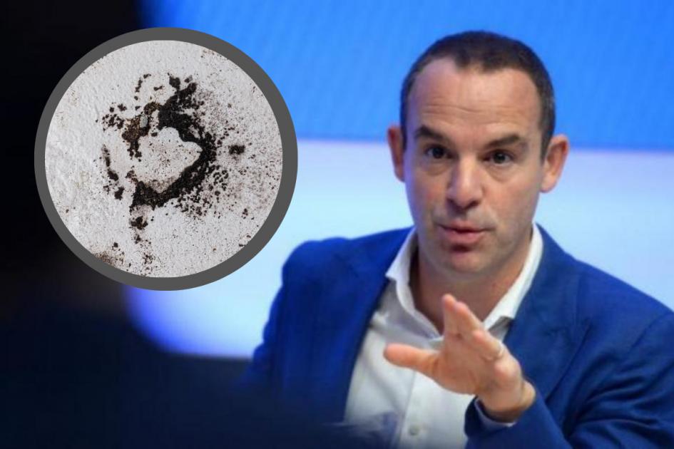 Martin Lewis praises 'cheaper' way to tackle damp and mould in your home