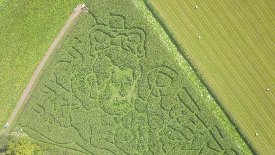 King Charles appears in maize maze masterpiece at Powys farm 