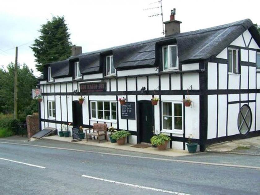 Powys woman attacked retired lady in room at Powys pub 