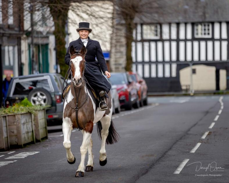 Powys: Llanidloes resident calls on town council to ban hunt 