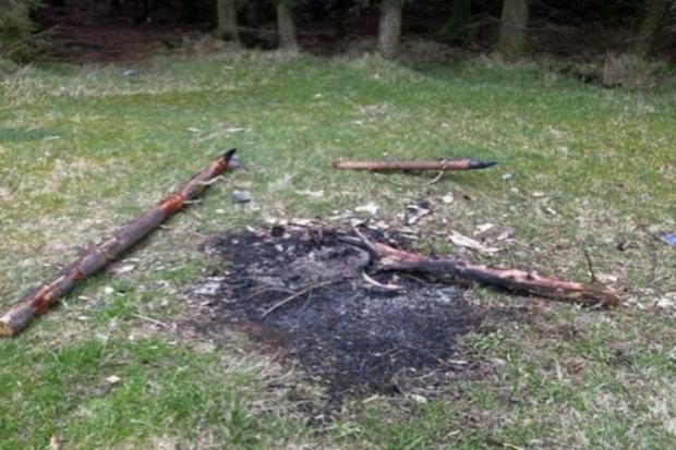 Police have said intruders have felled and burnt trees in the Ceri forest