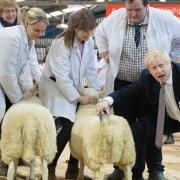 Prime Minister Boris Johnson, visits the Royal Welsh Showground, in Llanelwedd, Builth Wells. Picture: PA