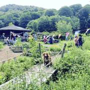 Machynlleth community garden receives £3,000 grant