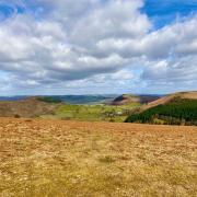 Hergest Ridge, Kington, features prominently during the festival's walks