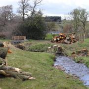Residents in the village of Dolau are furious over the extensive felling of trees. Pictures by Saira Salmon