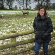 Welsh sheep farmers 'tossed aside' says Jane Dodds