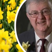 First Minister Mark Drakeford called for 'Random acts of Welshness' on St David's Day.