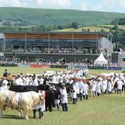 With over 8,000 livestock entries, more trade stands than before and a whole range of events, this yea's Royal Welsh Show looks as if it will be another huge success..