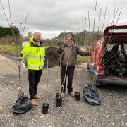 Community orchards are being established across Wales.