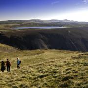 Campaigners want the Cambrian Mountains classed as an AONB in order to secure legal protections for the landscape. (Picture: VisitWales)