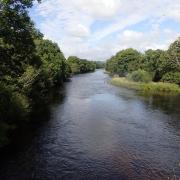 River Dee courtesy of Natural resources Wales OLYMPUS DIGITAL CAMERA