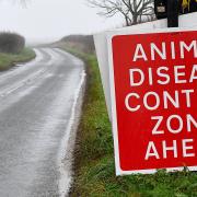 A third avian flu control zone has been declared in a month