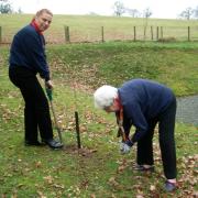Hafren Trefoil Guild treasurer Mary Davies and chairman Gwyneth Brown plant trees in Aberhafesp to mark Queen Elizabeth II's reign.