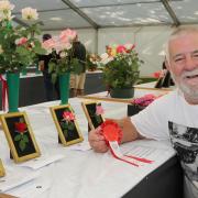 David Davies with his miniature rose exhibition at last year's Royal Welsh Show. Picture by Phil Blagg Photography. PB070-2022-30
