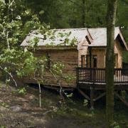 Plans have been lodged with Powys County Council to build treehouses at a farm near Caersws. Source: Blue Forest UK