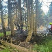 Crews were called out to 40 hectare fire