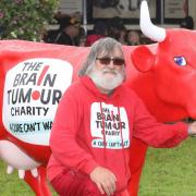 Andy Cumine with his plastic cow for the Brain Tumour Charity.