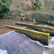 The Honddu Weir has been removed to improve the health of fish on the river