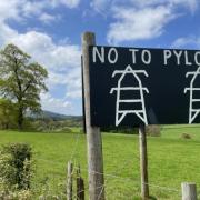 Anti-pylon signs are a familiar site on the sides of Powys roads.
