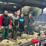 The Perpetual Challenge Cup for the champion pen of lambs at Bishops Castle Auction’s Christmas Fatstock Show and Sale on Wednesday was awarded to Julian Radcliffe of Lower Down, Lydbury North.