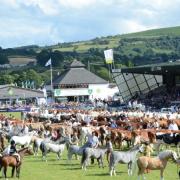 The Royal Welsh Show is set to take place from July 22-25, 2024, but in 2026, it could be held during the school term in Wales.