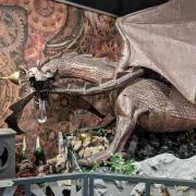 A dragon's cave features CARAD’s giant copper dragon sculpture, Queen Belrenin. 