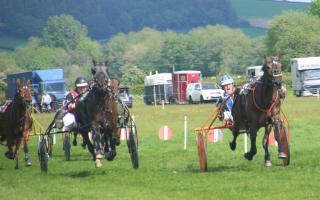 Harness racing in Mid Wales will see the return of spectators this weekend. Photo: Graham Rees