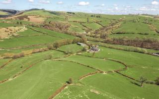 Pentwyn Farm was bought by the Radnorshire Wildlife Trust in 2021. (Pic: McCartneys).