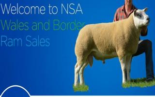 NSA Ram Sales Builth Wells has been postponed to September 26