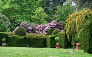 Hergest Croft Gardens, which lies just over the Powys border in Herefordshire.