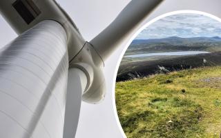 A wildlife trust said plans to install huge wind turbines near a nationally important nature reserve is 