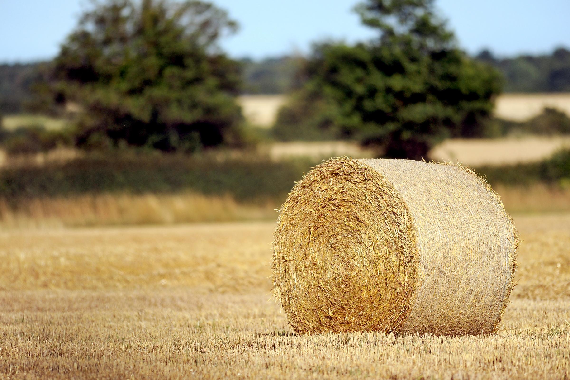 Hay Bales Worth 30 000 Set On Fire At East Lothian Farm County Times